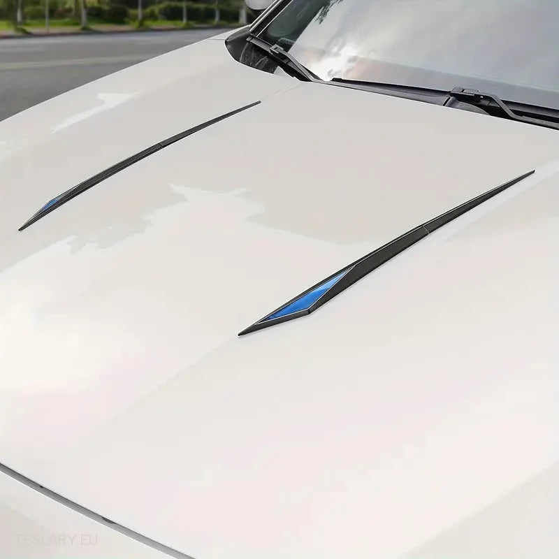 Chrome Plated Trim Accents for Side or Bonnet -TESLARY.IE Tesla Shop Europe