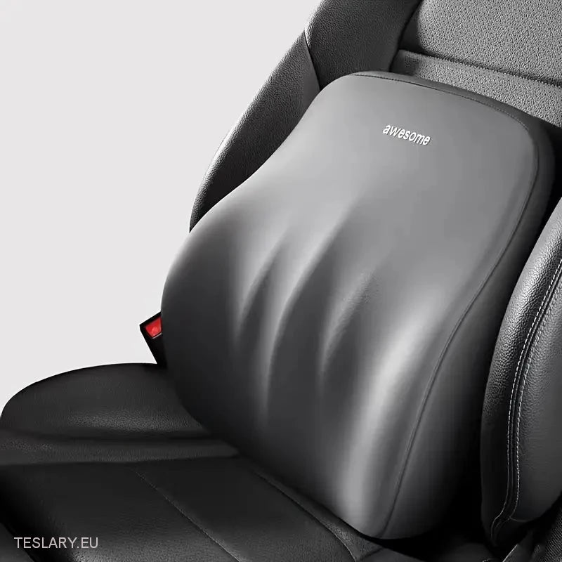 Memory Foam Neck Pillow & Back Support Cushion for All Tesla Models -TESLARY.IE Tesla Shop Europe