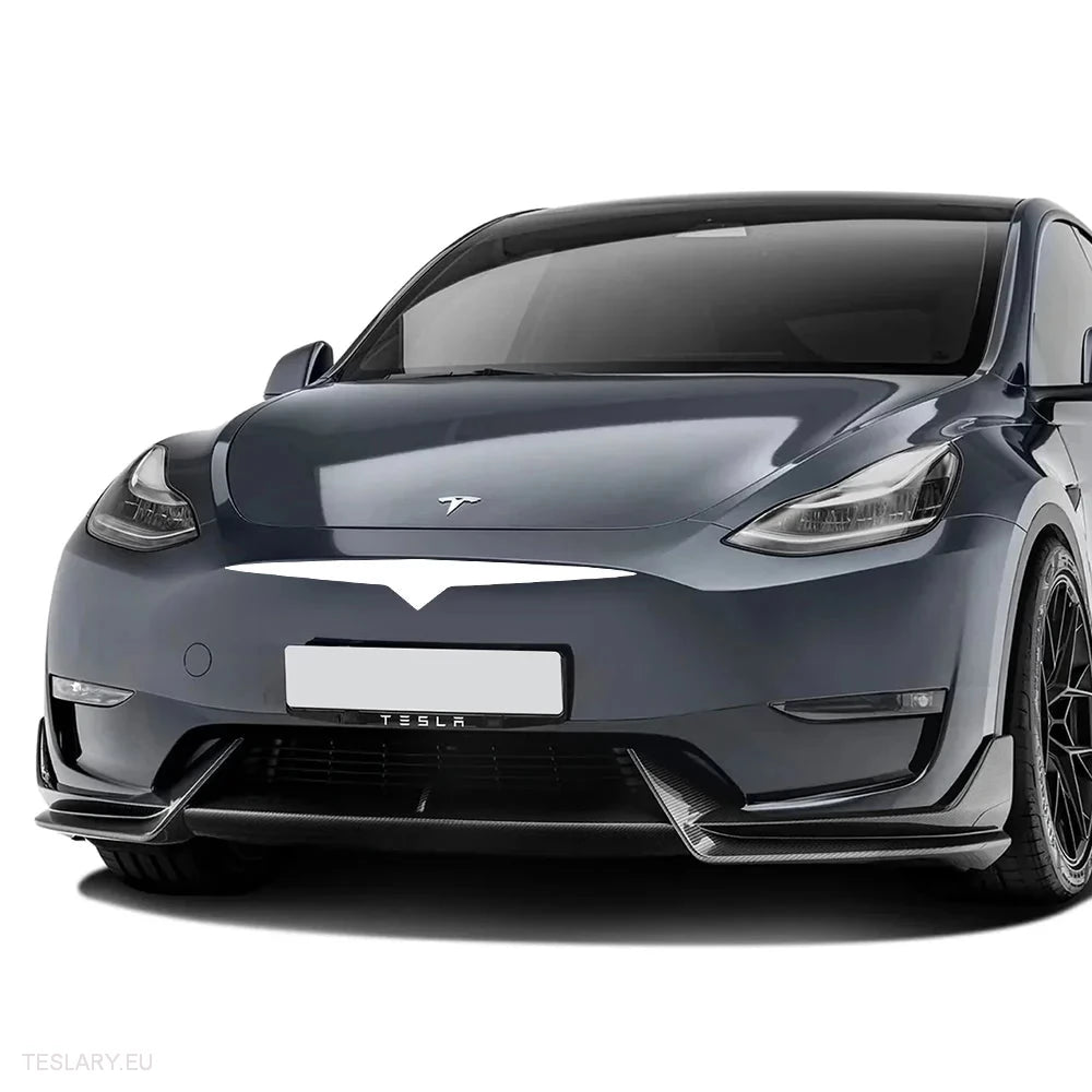 Tesla 3/Y Vinyl Front Grill Sticker in Black , Red & Carbon Fiber -TESLARY.IE Tesla Shop Europe