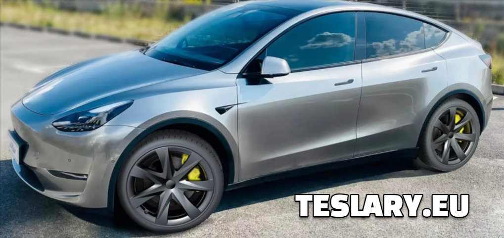 TESLA MODEL Y 19" UNIQUE S3 FULL COVER WHEEL HUBS